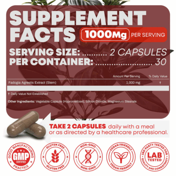 Teanux™ Fadogia Agrestis 1000mg - Image 8